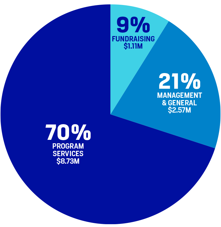 NYAM-Financials-Piechart 1